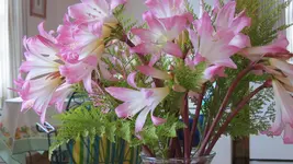 IMG_0566.webp