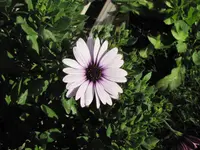 Bild 1806.webp