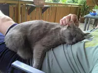 Lenny.webp