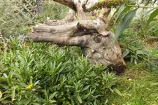 2012_1017Herbst0015.webp