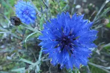 2012_1019Herbst0003.webp