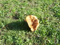 K800_001.webp