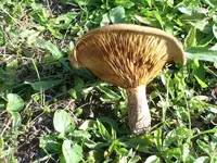 K800_002.webp