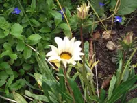 DSCF2611.webp