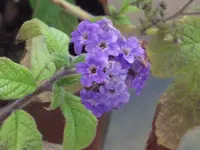 DSCF2613.webp