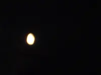 P1030471.webp