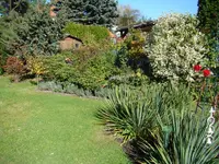 links Rhododendrenquartier.webp