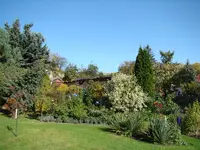 Rhodo- und Palmlilienquartier.webp