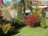 Teil der Westflanke.webp