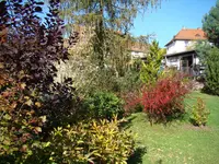Buntes Herbstlaub.webp