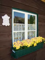 Wir halten den Herbst fest.webp