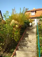 Herbstliche Himmelsleiter.webp