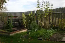 Garten 10 2012 1 001.webp