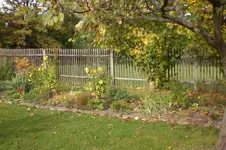Garten 10 2012 1 003.webp