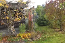Garten 10 2012 1 006.webp