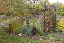 Garten 10 2012 1 007.webp