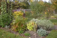 Garten 10 2012 1 009.webp