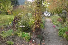 Garten 10 2012 1 010.webp