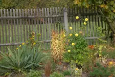 Garten 10 2012 1 012.webp