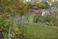 Garten 10 2012 1 013.webp