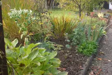 Garten 10 2012 1 014.webp