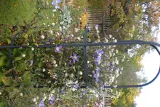 Garten 10 2012 1 016.webp
