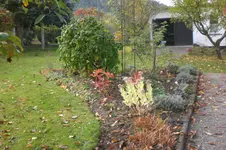 Garten 10 2012 1 017.webp