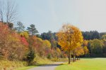 2012_1020Herbst0009 1.jpg