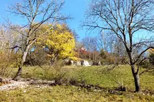 2012_1020Herbst0025 3.webp