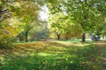 2012_1020Herbst0026.jpg