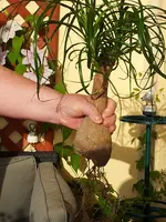 20121021_102447.webp