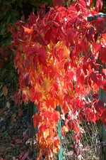 IMG_3059.webp
