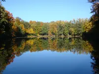 DSC00906.webp