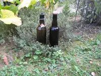 Pilse 003.webp
