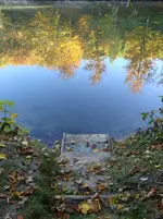 DSC00900.webp