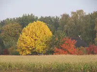 21.10.12 002.webp