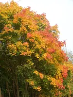 21.10.12 006.webp