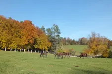 2012_1020Herbst0032.webp