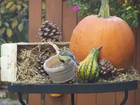 Herbstdeko.webp