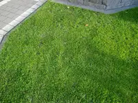 CIMG2395.webp