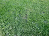 CIMG2394.webp
