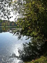 P1080840.webp