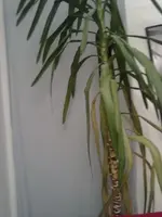 21102012260.webp