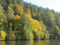 Bild 1984.webp