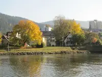 Bild 1995.webp