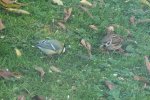 2012_1021Herbst0066.jpg