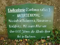 Naturdenkmal.webp