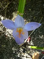 DSC01040.webp