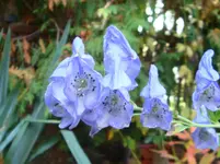 DSC01041.webp