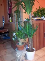20121022_170113.webp